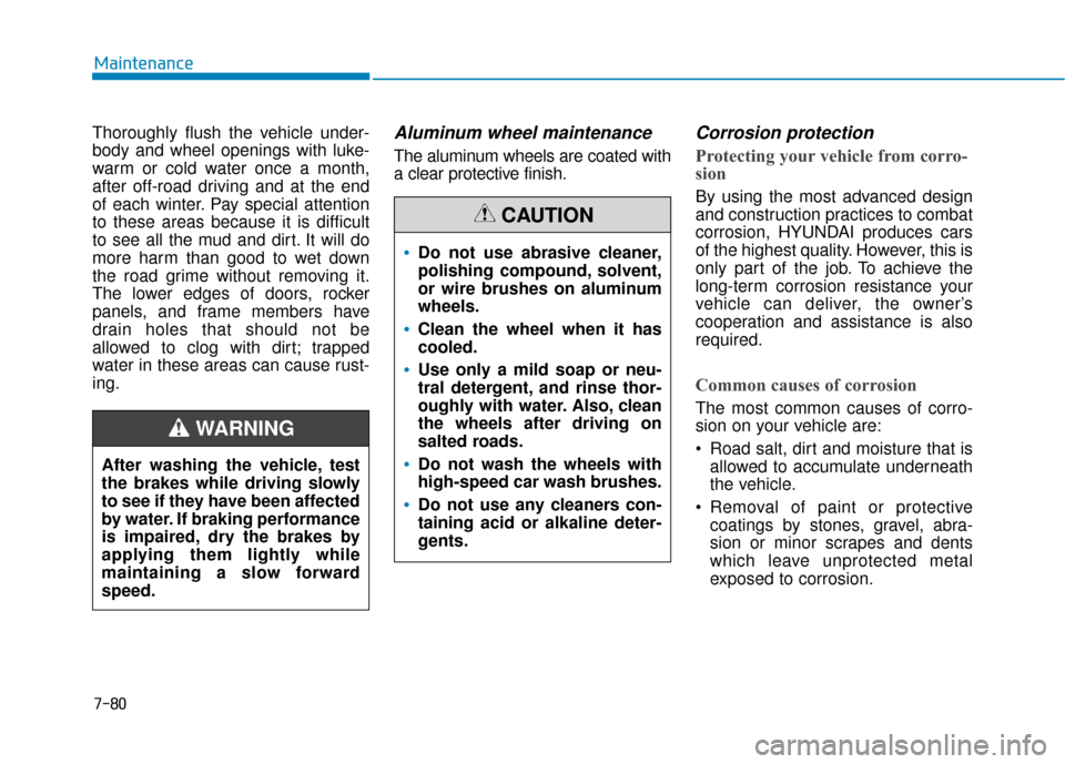 Hyundai Sonata 2019  Owners Manual 7-80
Maintenance
Thoroughly flush the vehicle under-
body and wheel openings with luke-
warm or cold water once a month,
after off-road driving and at the end
of each winter. Pay special attention
to 