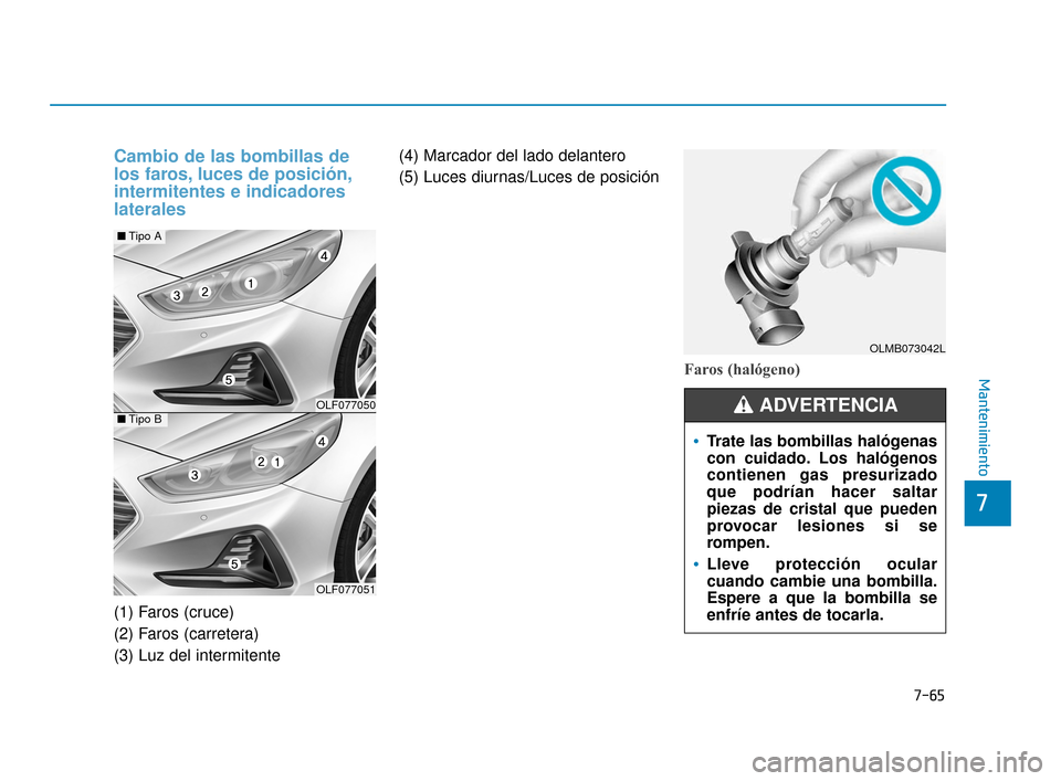 Hyundai Sonata 2019 Manual del propietario (in Spanish) 7-65
7
Mantenimiento
Cambio de las bombillas de
los faros, luces de posición,
intermitentes e indicadores
laterales
(1) Faros (cruce)
(2) Faros (carretera)
(3) Luz del intermitente(4) Marcador del la Hyundai Sonata 2019 Manual del propietario (in Spanish) 7-65
7
Mantenimiento
Cambio de las bombillas de
los faros, luces de posición,
intermitentes e indicadores
laterales
(1) Faros (cruce)
(2) Faros (carretera)
(3) Luz del intermitente(4) Marcador del la