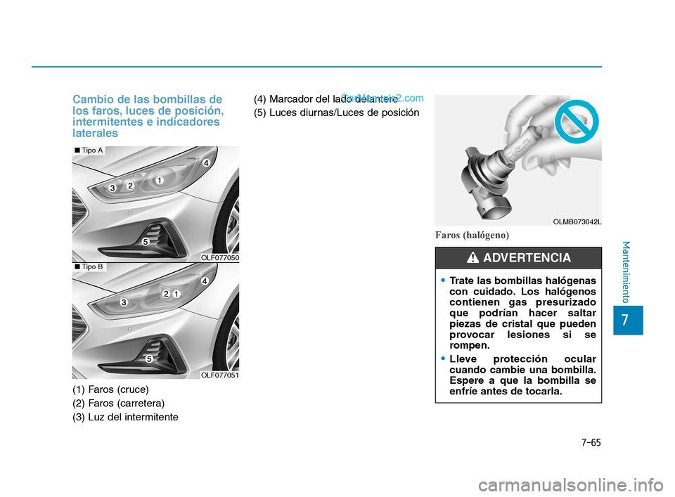 Hyundai Sonata 2018  Manual del propietario (in Spanish) 7-65
7
Mantenimiento
Cambio de las bombillas de
los faros, luces de posición,
intermitentes e indicadores
laterales
(1) Faros (cruce)
(2) Faros (carretera)
(3) Luz del intermitente(4) Marcador del la