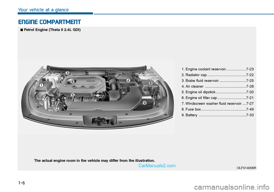 Hyundai Sonata 2016   - RHD (UK, Australia) User Guide 1-6
Your vehicle at a glance
ENGINE COMPARTMENT
OLF014006R
■Petrol Engine (Theta II 2.4L GDI)
The actual engine room in the vehicle may differ from the illustration.
1. Engine coolant reservoir..... Hyundai Sonata 2016   - RHD (UK, Australia) User Guide 1-6
Your vehicle at a glance
ENGINE COMPARTMENT
OLF014006R
■Petrol Engine (Theta II 2.4L GDI)
The actual engine room in the vehicle may differ from the illustration.
1. Engine coolant reservoir.....