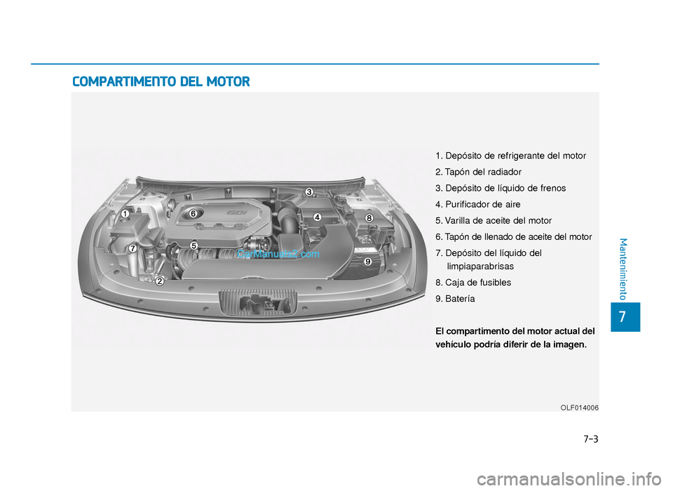 Hyundai Sonata 2016 Manual del propietario (in Spanish) C
CO
O M
M P
PA
A R
RT
TI
IM
M E
EN
N T
TO
O
D
D E
EL
L
M
M O
OT
TO
O R
R
7
Mantenimiento
7-3
1. Depósito de refrigerante del motor
2. Tapón del radiador
3. Depósito de líquido de frenos
4. P Hyundai Sonata 2016 Manual del propietario (in Spanish) C
CO
O M
M P
PA
A R
RT
TI
IM
M E
EN
N T
TO
O
D
D E
EL
L
M
M O
OT
TO
O R
R
7
Mantenimiento
7-3
1. Depósito de refrigerante del motor
2. Tapón del radiador
3. Depósito de líquido de frenos
4. P