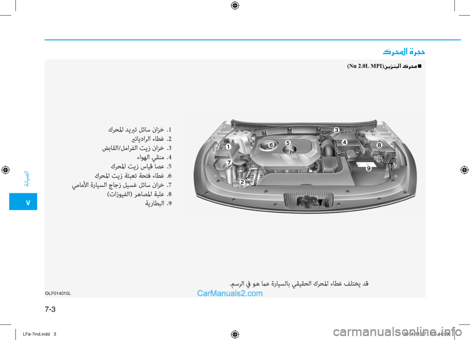 Hyundai Sonata 2016  دليل المالك 7
ةنايصلا
7-3
OLF014010L
كرلمحا ةرجح
)Nu 2.0L MPI(نيزنبلا كرمح n
كرحلما ديبرت لئاس نازخ 
.1
 يرتايدارلا ءاطغ  
.2
ضباقلا/لمارفل