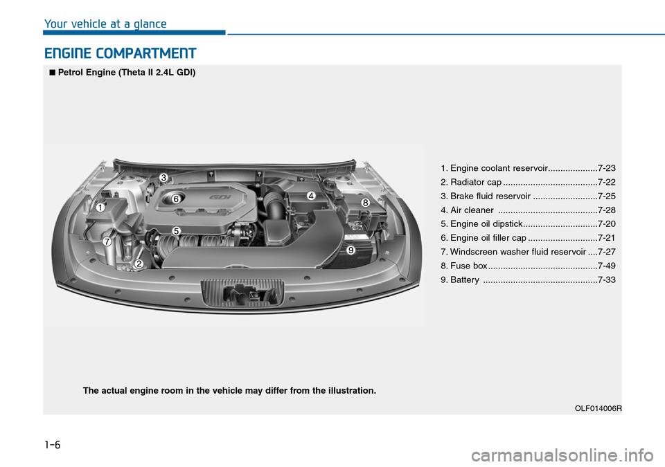 Hyundai Sonata 2015 - RHD (UK, Australia) User Guide 1-6
Your vehicle at a glance
ENGINE COMPARTMENT
OLF014006R
■Petrol Engine (Theta II 2.4L GDI)
The actual engine room in the vehicle may differ from the illustration.
1. Engine coolant reservoir..... Hyundai Sonata 2015 - RHD (UK, Australia) User Guide 1-6
Your vehicle at a glance
ENGINE COMPARTMENT
OLF014006R
■Petrol Engine (Theta II 2.4L GDI)
The actual engine room in the vehicle may differ from the illustration.
1. Engine coolant reservoir.....