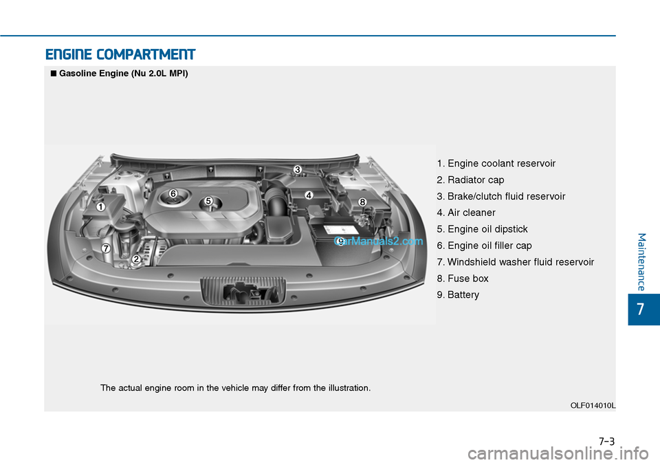 Hyundai Sonata 2014 Owners Manual 7-3
7
Maintenance
ENGINE COMPARTMENT
1. Engine coolant reservoir
2. Radiator cap
3. Brake/clutch fluid reservoir
4. Air cleaner
5. Engine oil dipstick
6. Engine oil filler cap
7. Windshield washer fl Hyundai Sonata 2014 Owners Manual 7-3
7
Maintenance
ENGINE COMPARTMENT
1. Engine coolant reservoir
2. Radiator cap
3. Brake/clutch fluid reservoir
4. Air cleaner
5. Engine oil dipstick
6. Engine oil filler cap
7. Windshield washer fl