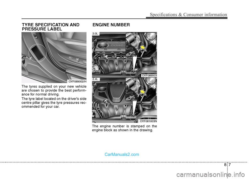Hyundai Sonata 87
Specifications & Consumer information
The tyres supplied on your new vehicle
are chosen to provide the best perform-
ance for normal driving.
The tyre label located on the drivers side
centre p Hyundai Sonata 87
Specifications & Consumer information
The tyres supplied on your new vehicle
are chosen to provide the best perform-
ance for normal driving.
The tyre label located on the drivers side
centre p