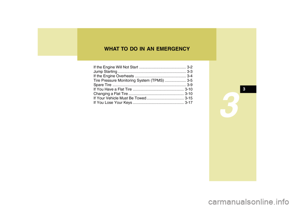 Hyundai Sonata 2010  Owners Manual If the Engine Will Not Start ............................................ 3-2
Jump Starting ................................................................ 3-3
If the Engine Overheats ...............
