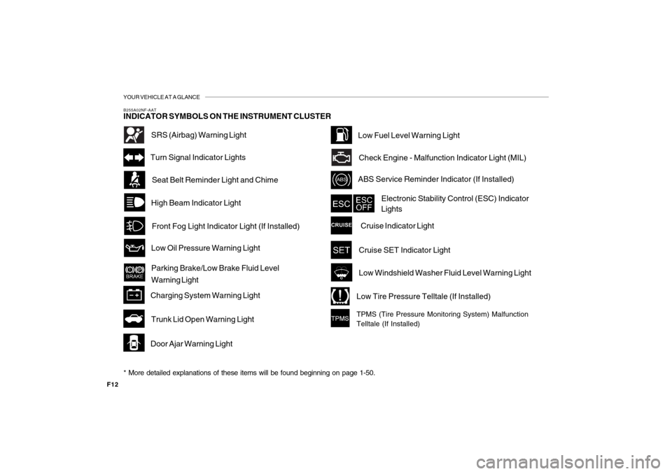 Hyundai Sonata 2009  Owners Manual YOUR VEHICLE AT A GLANCE
F12
B255A02NF-AATINDICATOR SYMBOLS ON THE INSTRUMENT CLUSTER
High Beam Indicator Light
Door Ajar Warning LightSeat Belt Reminder Light and ChimeTurn Signal Indicator Lights
AB