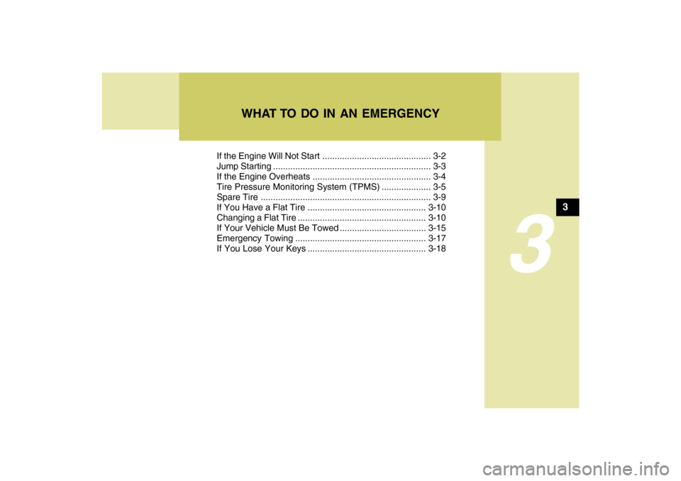 Hyundai Sonata If the Engine Will Not Start ............................................ 3-2
Jump Starting ................................................................ 3-3
If the Engine Overheats ...............