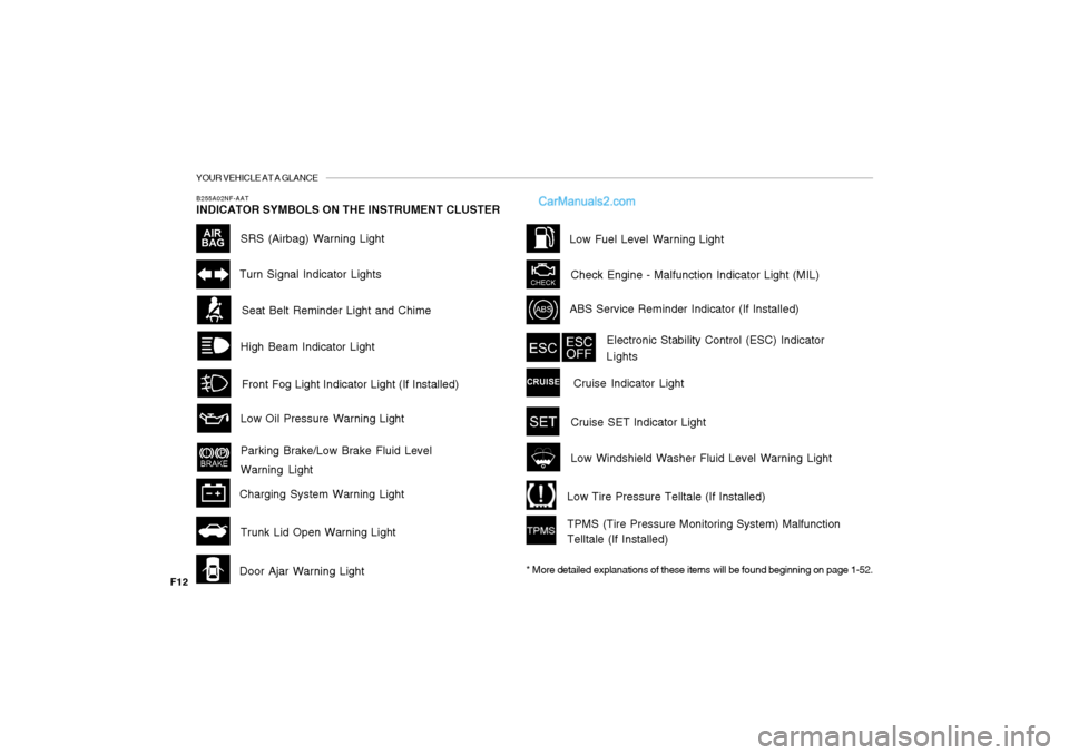 Hyundai Sonata 2008 User Guide YOUR VEHICLE AT A GLANCE
F12
B255A02NF-AATINDICATOR SYMBOLS ON THE INSTRUMENT CLUSTER
High Beam Indicator Light
Door Ajar Warning LightSeat Belt Reminder Light and ChimeTurn Signal Indicator Lights
AB