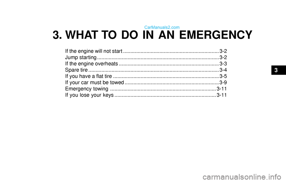 Hyundai Sonata 2004  Owners Manual 3. WHAT TO DO IN AN EMERGENCY
If the engine will not start .................................................................. 3-2
Jump starting ........................................................