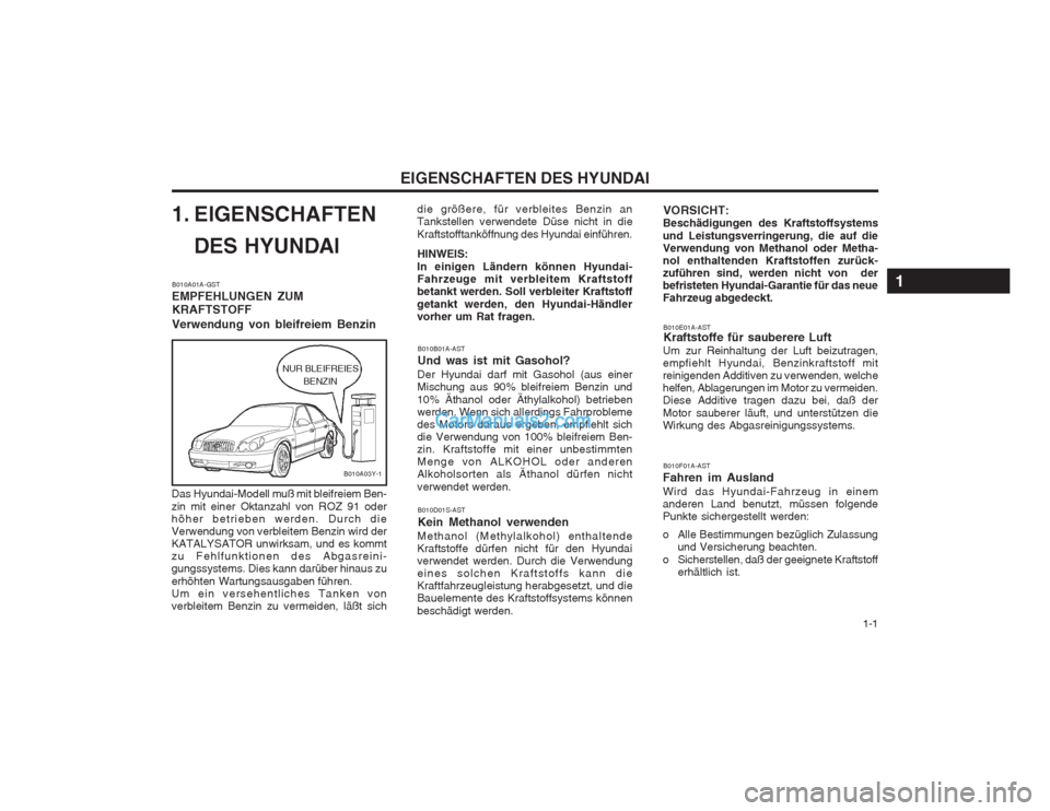 Hyundai Sonata 2004  Betriebsanleitung (in German)   1-1
EIGENSCHAFTEN DES HYUNDAI
VORSICHT:
Beschädigungen des Kraftstoffsystems und Leistungsverringerung, die auf die Verwendung von Methanol oder Metha-nol enthaltenden Kraftstoffen zurück-zuführe