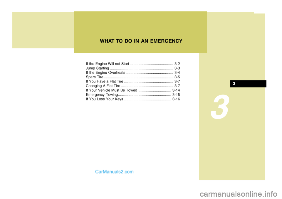 Hyundai Terracan 2007  Owners Manual 3
If the Engine Will not Start .......................................... 3-2 
Jump Starting .............................................................. 3-3
If the Engine Overheats ................