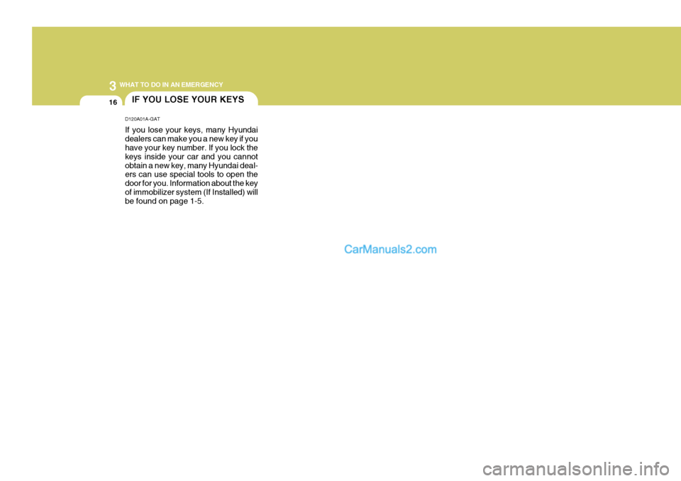 Hyundai Terracan 2007  Owners Manual 3 WHAT TO DO IN AN EMERGENCY
16IF YOU LOSE YOUR KEYS
D120A01A-GAT If you lose your keys, many Hyundai dealers can make you a new key if you have your key number. If you lock the keys inside your car a