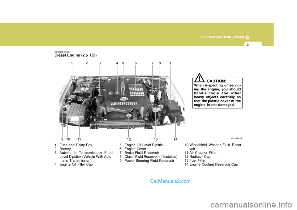 Hyundai Terracan 2007  Owners Manual 6
DO-IT-YOURSELF MAINTENANCE
3
G010B01HP-GAT
Diesel Engine (2.5 TCI)
G010B01HP
1. Fuse and Relay Box 
2. Battery 
3. Automatic Transmission Fluid Level Dipstick (Vehicle With Auto- matic Transmission)