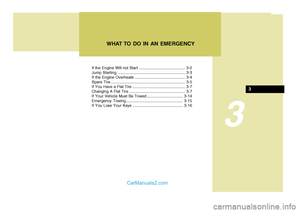 Hyundai Terracan 2006  Owners Manual 3
If the Engine Will not Start .......................................... 3-2 
Jump Starting .............................................................. 3-3
If the Engine Overheats ................