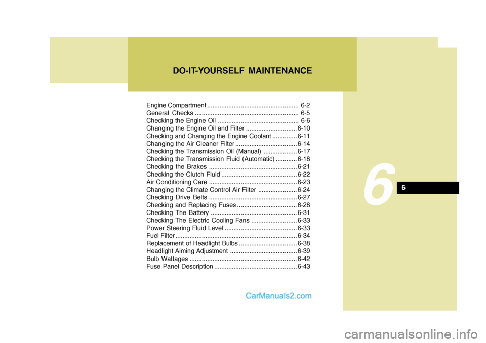 Hyundai Terracan 2006 Service Manual Engine Compartment .................................................... 6-2 
General Checks ........................................................... 6-5
Checking the Engine Oil ....................