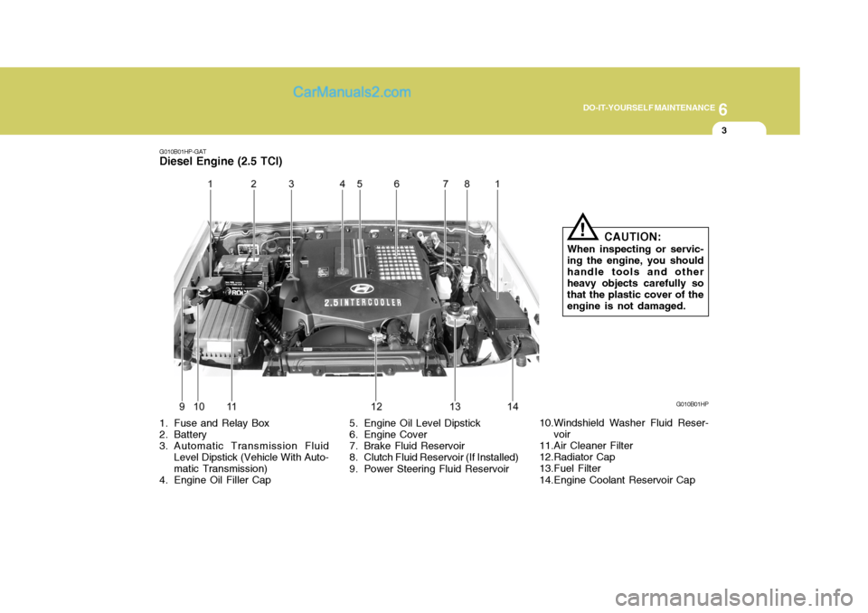 Hyundai Terracan 2006  Owners Manual 6
DO-IT-YOURSELF MAINTENANCE
3
G010B01HP-GAT
Diesel Engine (2.5 TCI)
G010B01HP
1. Fuse and Relay Box 
2. Battery 
3. Automatic Transmission Fluid Level Dipstick (Vehicle With Auto- matic Transmission)