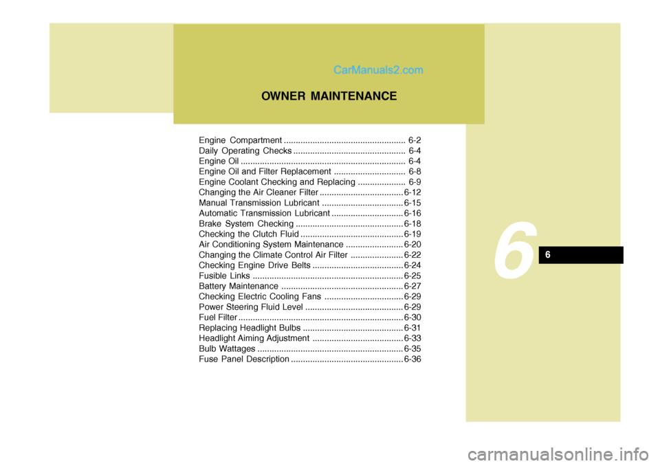 Hyundai Terracan 2006 Owners Guide Engine Compartment ................................................... 6-2 
Daily Operating Checks ............................................... 6-4
Engine Oil ......................................