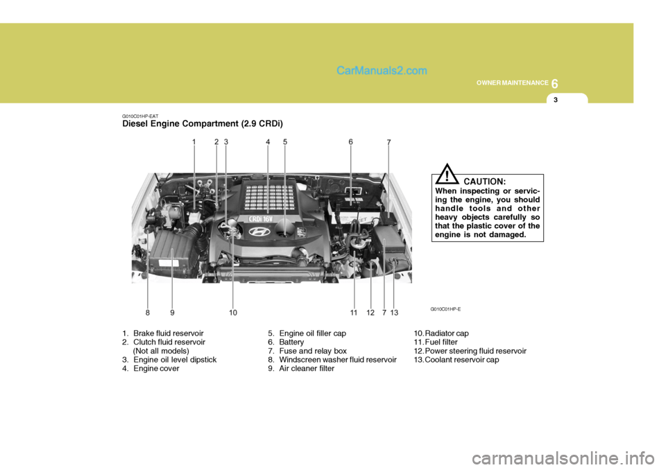 Hyundai Terracan 2006  Owners Manual 6
OWNER MAINTENANCE
3
G010C01HP-EAT
Diesel Engine Compartment (2.9 CRDi)
1. Brake fluid reservoir 
2. Clutch fluid reservoir     (Not all models) 
3. Engine oil level dipstick 
4. Engine cover 5. Engi