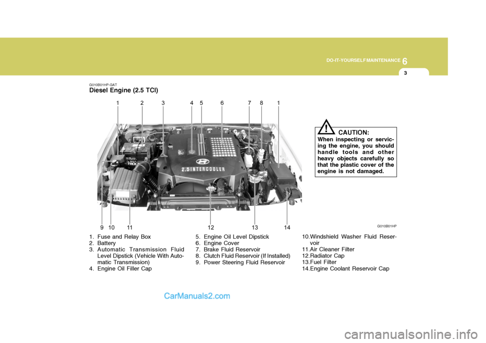 Hyundai Terracan 2005  Owners Manual 6
DO-IT-YOURSELF MAINTENANCE
3
G010B01HP-GAT
Diesel Engine (2.5 TCI)
G010B01HP
1. Fuse and Relay Box 
2. Battery 
3. Automatic Transmission Fluid Level Dipstick (Vehicle With Auto- matic Transmission)