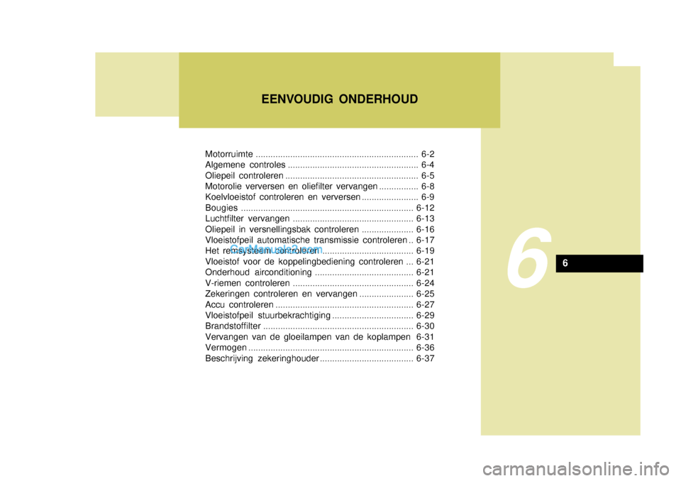Hyundai Terracan 2005  Handleiding (in Dutch) Motorruimte.................................................................. 6-2
Algemene controles ..................................................... 6-4 
Oliepeil controleren ...................