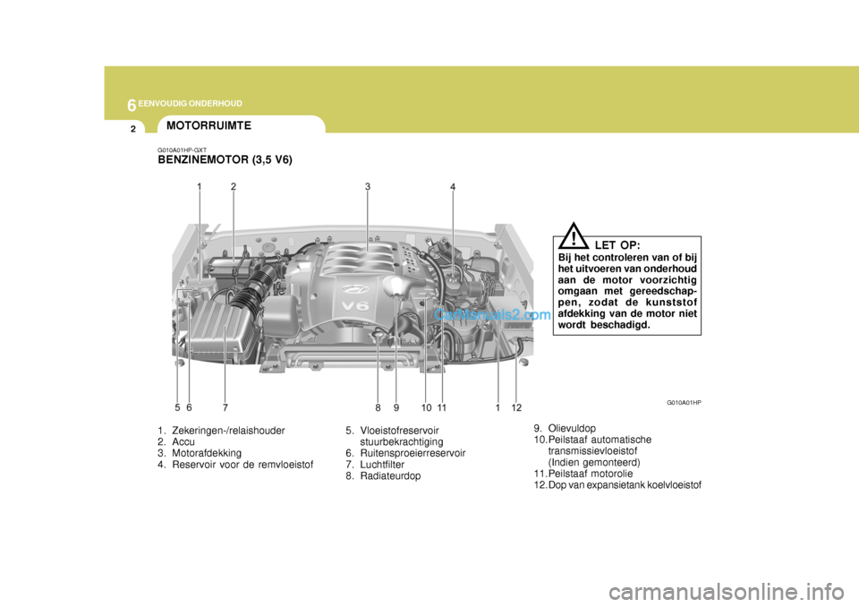 Hyundai Terracan 2005  Handleiding (in Dutch) 6EENVOUDIG ONDERHOUD
2
1. Zekeringen-/relaishouder 
2. Accu 
3. Motorafdekking 
4. Reservoir voor de remvloeistof 5. Vloeistofreservoir
stuurbekrachtiging
6. Ruitensproeierreservoir
7. Luchtfilter 
8.