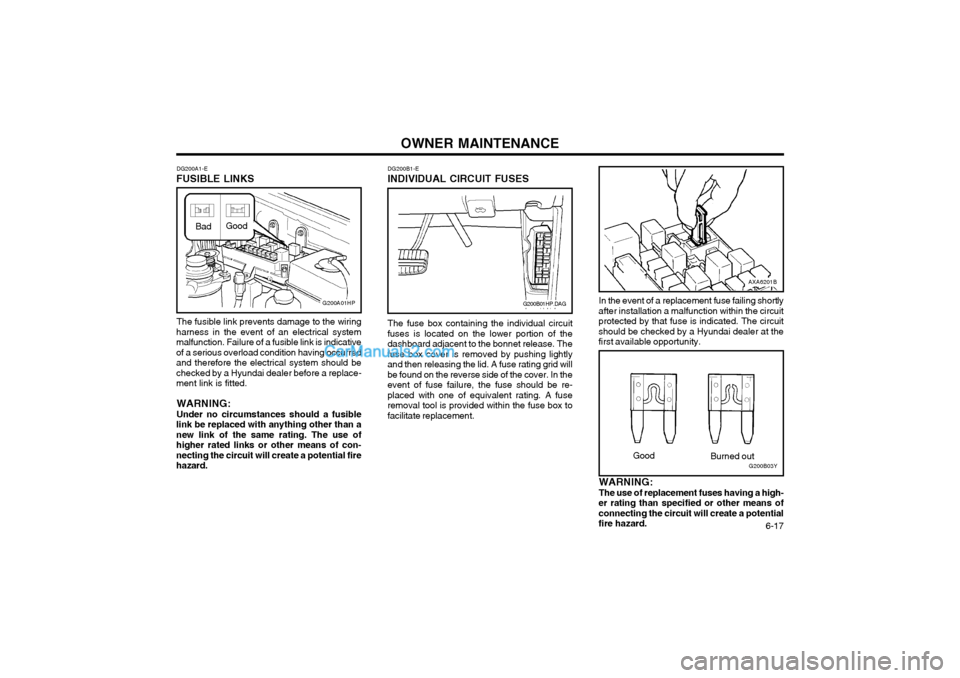 Hyundai Terracan 2003  Owners Manual OWNER MAINTENANCE  6-17
DG200B1-E
INDIVIDUAL CIRCUIT FUSES
DG200A1-E
FUSIBLE LINKS
The fusible link prevents damage to the wiring
harness in the event of an electrical system malfunction. Failure of a