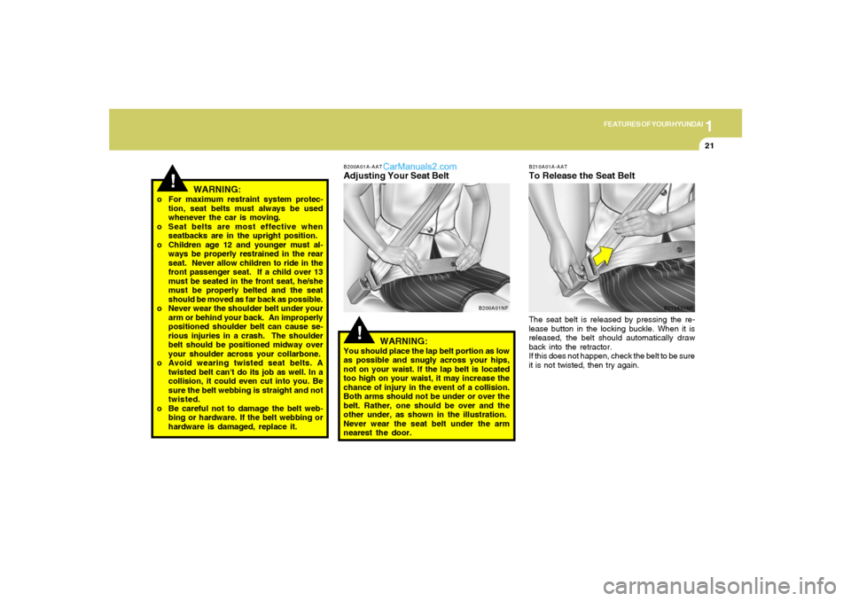 Hyundai Tiburon 2008 Owners Guide 1
FEATURES OF YOUR HYUNDAI
21
B210A01A-AATTo Release the Seat BeltThe seat belt is released by pressing the re-
lease button in the locking buckle. When it is
released, the belt should automatically d Hyundai Tiburon 2008 Owners Guide 1
FEATURES OF YOUR HYUNDAI
21
B210A01A-AATTo Release the Seat BeltThe seat belt is released by pressing the re-
lease button in the locking buckle. When it is
released, the belt should automatically d