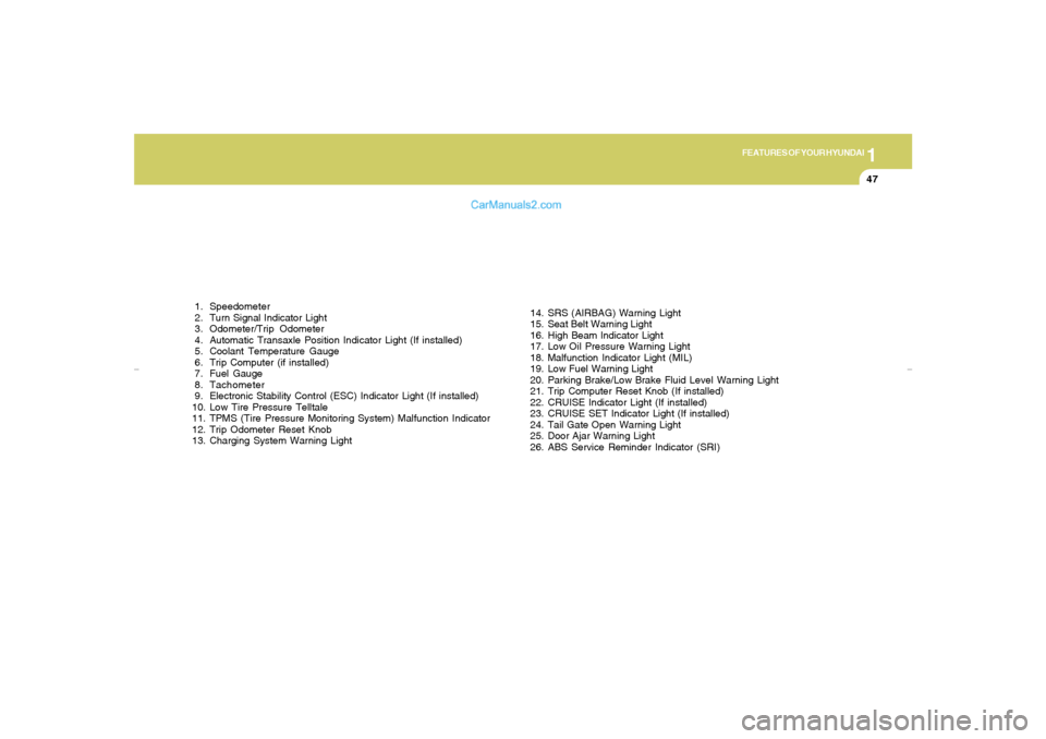 Hyundai Tiburon 2007  Owners Manual 1
FEATURES OF YOUR HYUNDAI
47
 1. Speedometer
 2. Turn Signal Indicator Light
 3. Odometer/Trip  Odometer
 4. Automatic Transaxle Position Indicator Light (If installed)
 5. Coolant Temperature Gauge
