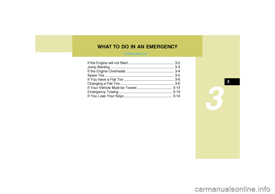 Hyundai Tiburon 2006  Owners Manual If the Engine will not Start .............................................. 3-2
Jump Starting ................................................................ 3-3
If the Engine Overheats .............