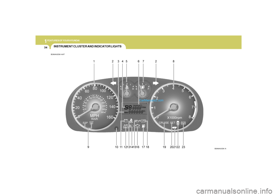 Hyundai Tiburon 2005 Service Manual 1FEATURES OF YOUR HYUNDAI34
INSTRUMENT CLUSTER AND INDICATOR LIGHTSB260A02GK-AAT
B260A02GK-A  