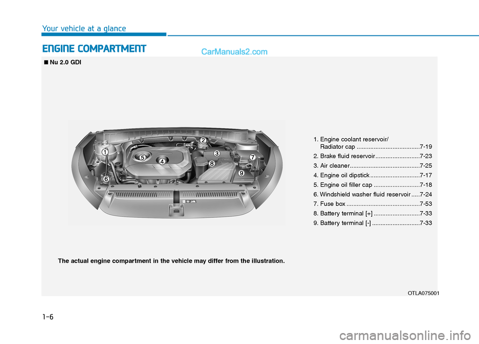 Hyundai Tucson 2019 User Guide 1-6
E EN
NG
GI
IN
NE
E 
 C
CO
OM
MP
PA
AR
RT
TM
ME
EN
NT
T
Your vehicle at a glance
OTLA075001 ■ ■
Nu 2.0 GDI
1. Engine coolant reservoir/
Radiator cap .....................................7-19
2.