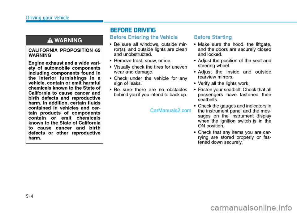 Hyundai Tucson 2019 Owners Manual 5-4
Driving your vehicle
Before Entering the Vehicle
• Be sure all windows, outside mir-
ror(s), and outside lights are clean
and unobstructed.
Remove frost, snow, or ice.
Visually check the tires Hyundai Tucson 2019 Owners Manual 5-4
Driving your vehicle
Before Entering the Vehicle
• Be sure all windows, outside mir-
ror(s), and outside lights are clean
and unobstructed.
Remove frost, snow, or ice.
Visually check the tires