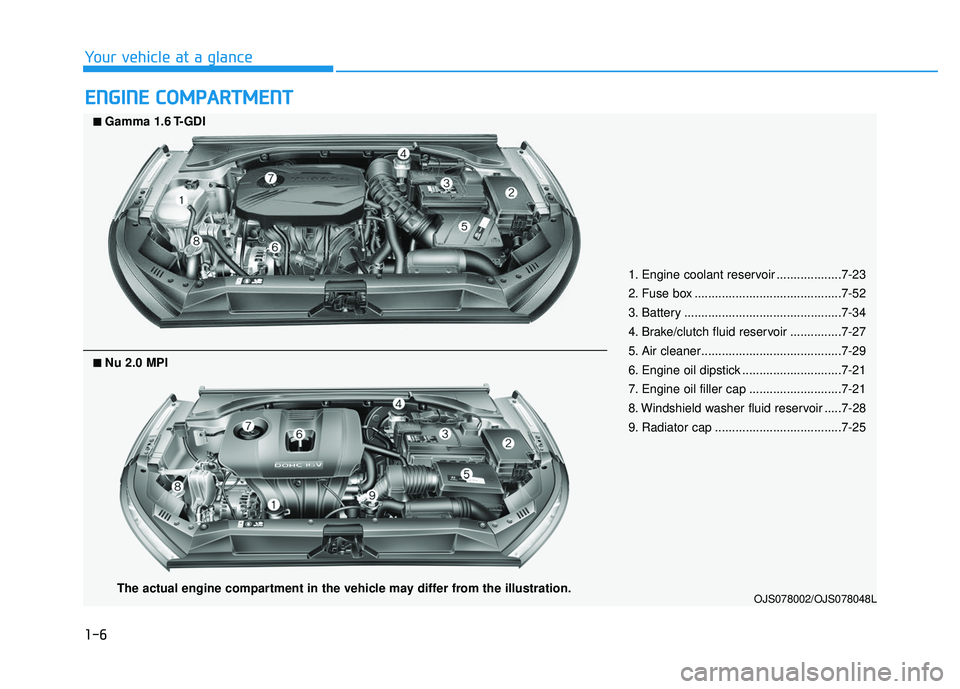 HYUNDAI VELOSTER 2019 User Guide 1-6
Your vehicle at a glance
E
EN
N G
GI
IN
N E
E 
 C
C O
O M
M P
PA
A R
RT
TM
M E
EN
N T
T
1. Engine coolant reservoir ...................7-23
2. Fuse box ...........................................7