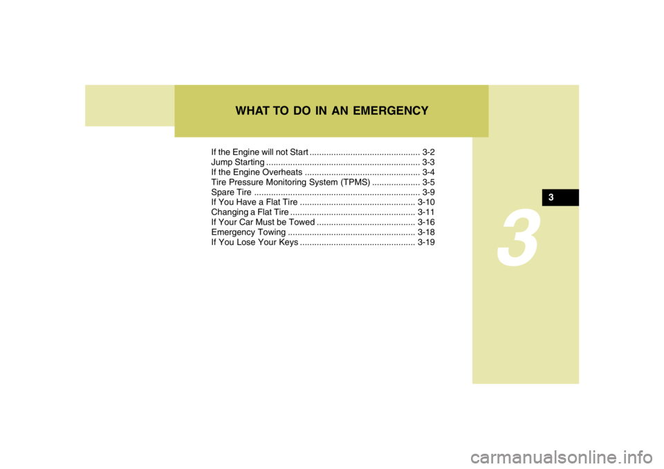 HYUNDAI TUCSON 2006  Owners Manual If the Engine will not Start .............................................. 3-2
Jump Starting ................................................................ 3-3
If the Engine Overheats .............