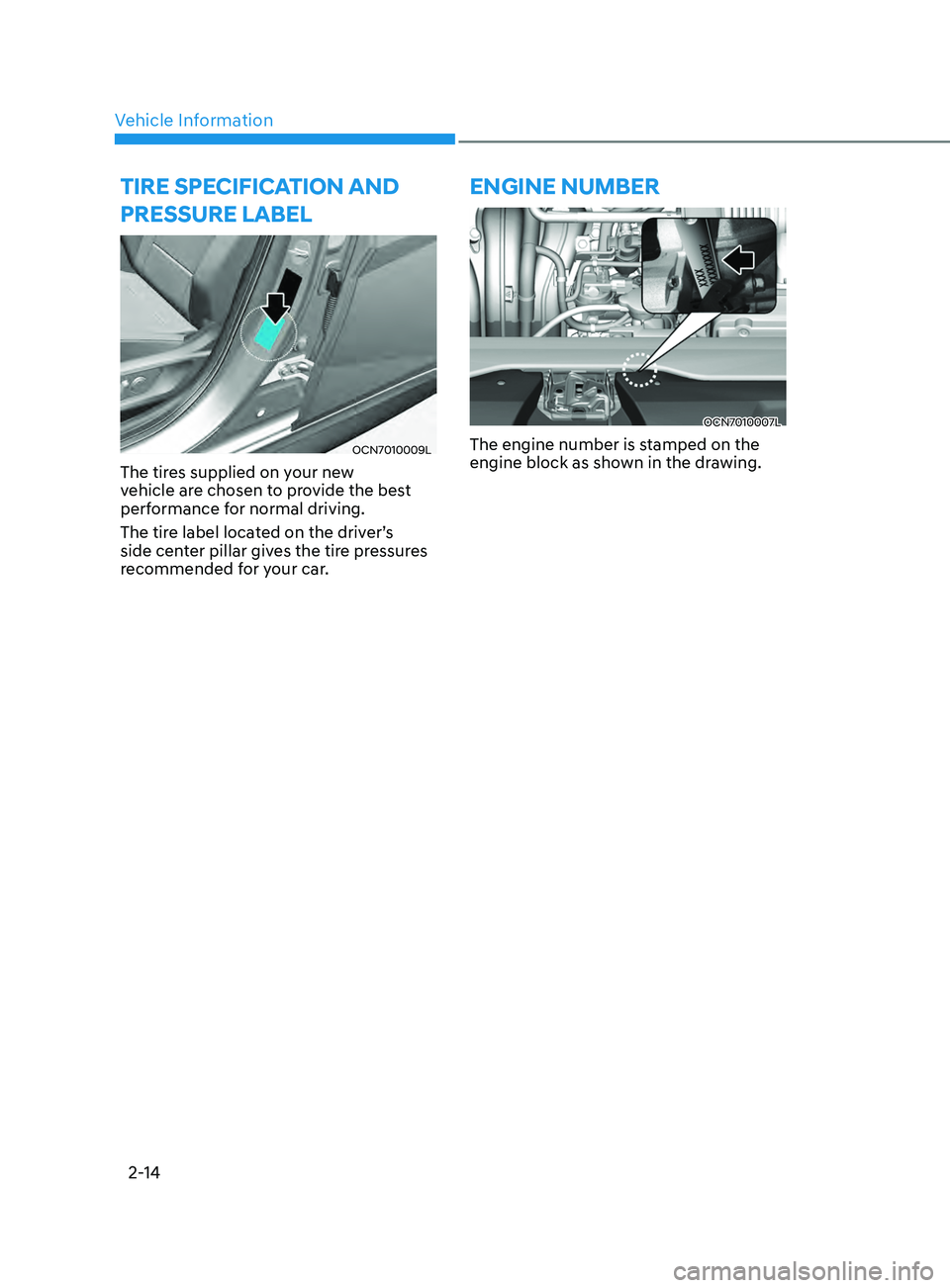 HYUNDAI ELANTRA 2021 Owners Manual Vehicle Information2-14
tirE sPECifiCation anD 
Pr
EssurE laBEl
OCN7010009L
The tires supplied on your new 
vehicle are chosen to provide the best 
performance for normal driving.
The tire label locat