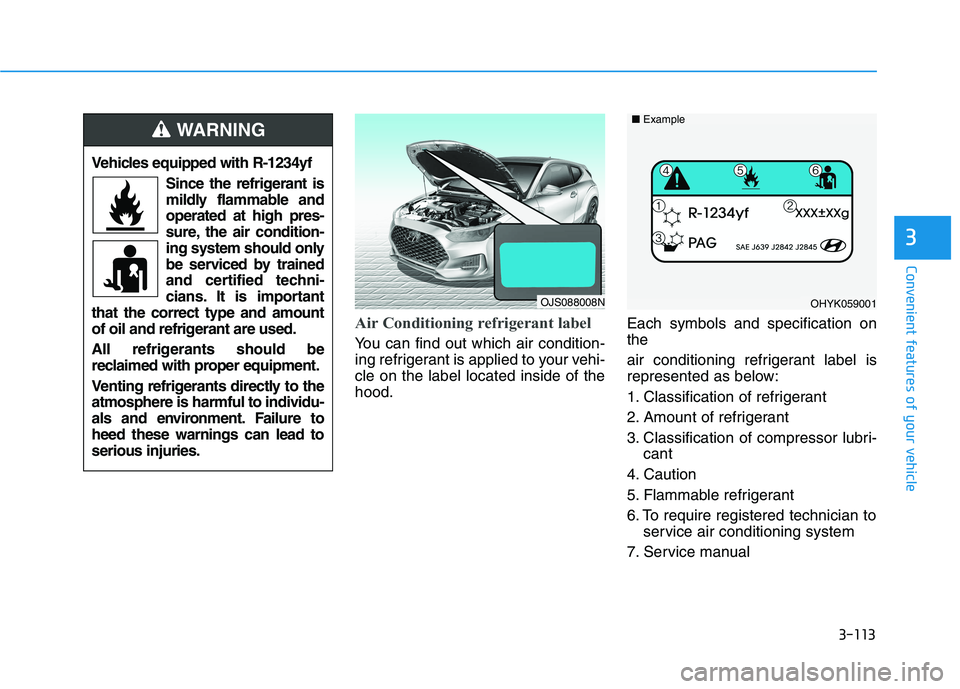 HYUNDAI VELOSTER 2021 Owners Manual 3-113
Convenient features of your vehicle
Air Conditioning refrigerant label
You can find out which air condition-
ing refrigerant is applied to your vehi-
cle on the label located inside of the
hood. HYUNDAI VELOSTER 2021 Owners Manual 3-113
Convenient features of your vehicle
Air Conditioning refrigerant label
You can find out which air condition-
ing refrigerant is applied to your vehi-
cle on the label located inside of the
hood.