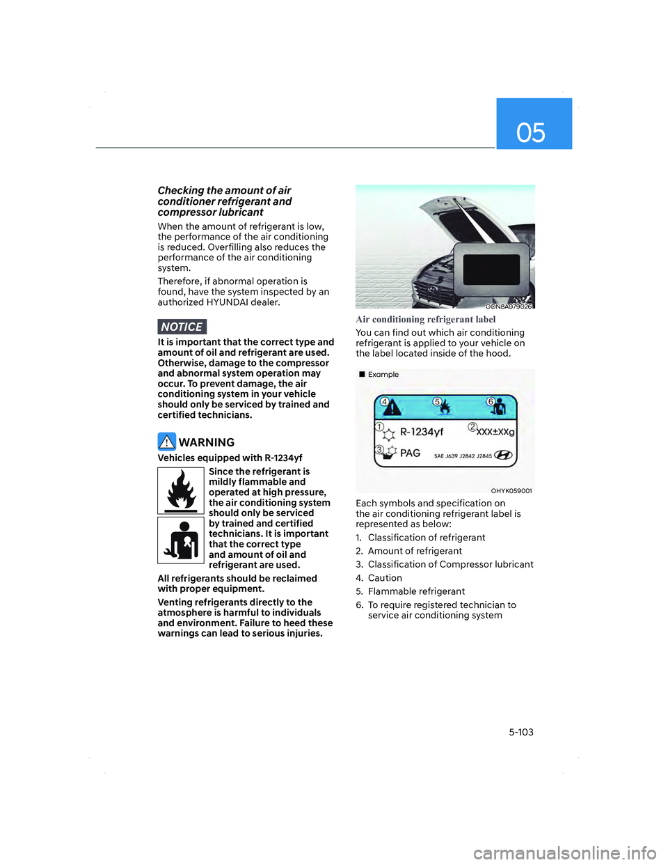 HYUNDAI ELANTRA 2022  Owners Manual 05
5-103
Checking the amount of air 
conditioner refrigerant and 
compressor lubricant
When the amount of refrigerant is low, 
the performance of the air conditioning 
is reduced. Overfilling also red