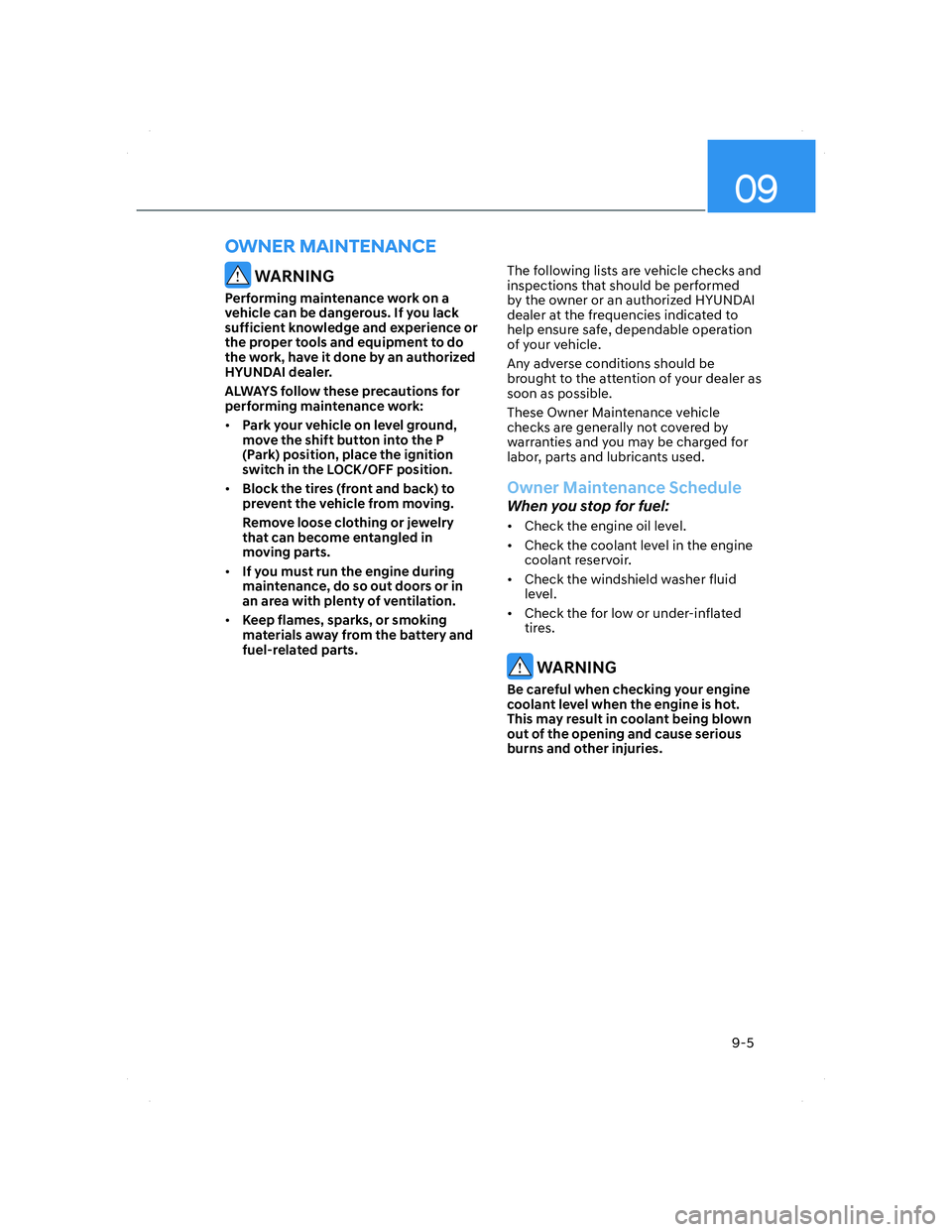 HYUNDAI ELANTRA 2022  Owners Manual 09
9-5
 WARNING
Performing maintenance work on a 
vehicle can be dangerous. If you lack 
sufficient knowledge and experience or 
the proper tools and equipment to do 
the work, have it done by an auth