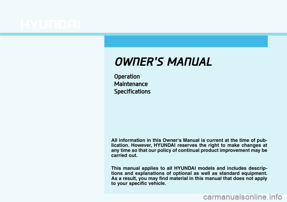 HYUNDAI VELOSTER N 2022  Owners Manual 