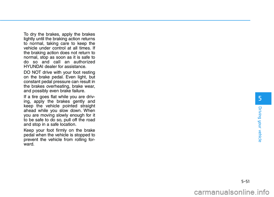 HYUNDAI ELANTRA SPORT 2018  Owners Manual 5-51
Driving your vehicle
5
To dry the brakes, apply the brakes 
lightly until the braking action returns
to normal, taking care to keep the
vehicle under control at all times. If
the braking action d