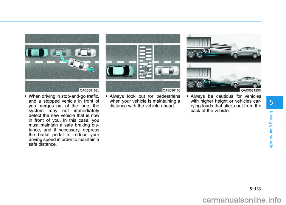 HYUNDAI ELANTRA SPORT 2018 Owners Manual 5-133
Driving your vehicle
5
When driving in stop-and-go traffic,and a stopped vehicle in front of
you merges out of the lane, the
system may not immediately
detect the new vehicle that is now
in fr HYUNDAI ELANTRA SPORT 2018 Owners Manual 5-133
Driving your vehicle
5
When driving in stop-and-go traffic,and a stopped vehicle in front of
you merges out of the lane, the
system may not immediately
detect the new vehicle that is now
in fr