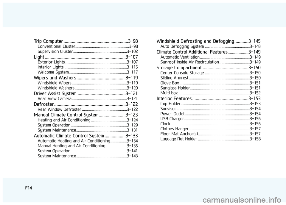 HYUNDAI ELANTRA SE 2017  Owners Manual F14F14
Trip Computer .......................................................3-98
Conventional Cluster.......................................................3\
-98
Supervision Cluster .................