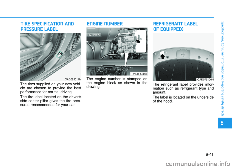 HYUNDAI ELANTRA SE 2017  Owners Manual 8-11
88
Specifications, Consumer information and Reporting safety defects
The tires supplied on your new vehi-
cle are chosen to provide the best
performance for normal driving.
The tire label located