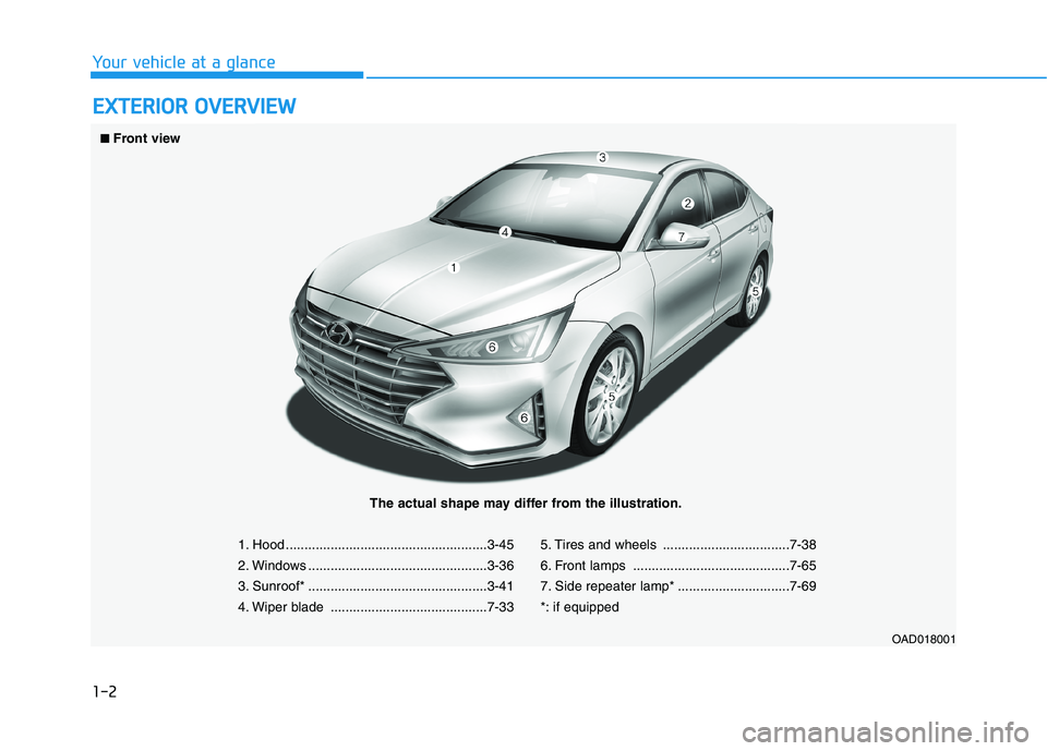 HYUNDAI ELANTRA SPORT 2019  Owners Manual 1-2
EEXX TTEERR IIOO RR  OO VVEERR VV IIEE WW
Your vehicle at a glance
1. Hood ......................................................3-45 
2. Windows ................................................3-