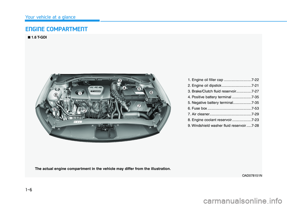 HYUNDAI ELANTRA SPORT 2019 User Guide 1-6
Your vehicle at a glanceE
E NN GGIINN EE  CC OO MM PPAA RRTTMM EENN TT
OAD078151N
1. Engine oil filler cap ...........................7-22 
2. Engine oil dipstick .............................7-21