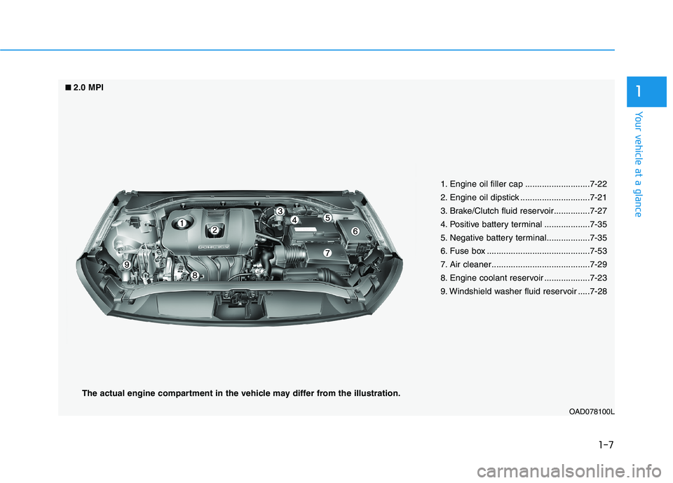 HYUNDAI ELANTRA SPORT 2019 User Guide 1-7
Your vehicle at a glance
1
OAD078100L
1. Engine oil filler cap ...........................7-22 
2. Engine oil dipstick .............................7-21
3. Brake/Clutch fluid reservoir............