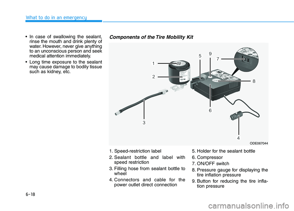 HYUNDAI ELANTRA SPORT 2019 Owners Manual 6-18
What to do in an emergency
In case of swallowing the sealant,rinse the mouth and drink plenty of
water. However, never give anythingto an unconscious person and seek
medical attention immediate HYUNDAI ELANTRA SPORT 2019 Owners Manual 6-18
What to do in an emergency
In case of swallowing the sealant,rinse the mouth and drink plenty of
water. However, never give anythingto an unconscious person and seek
medical attention immediate