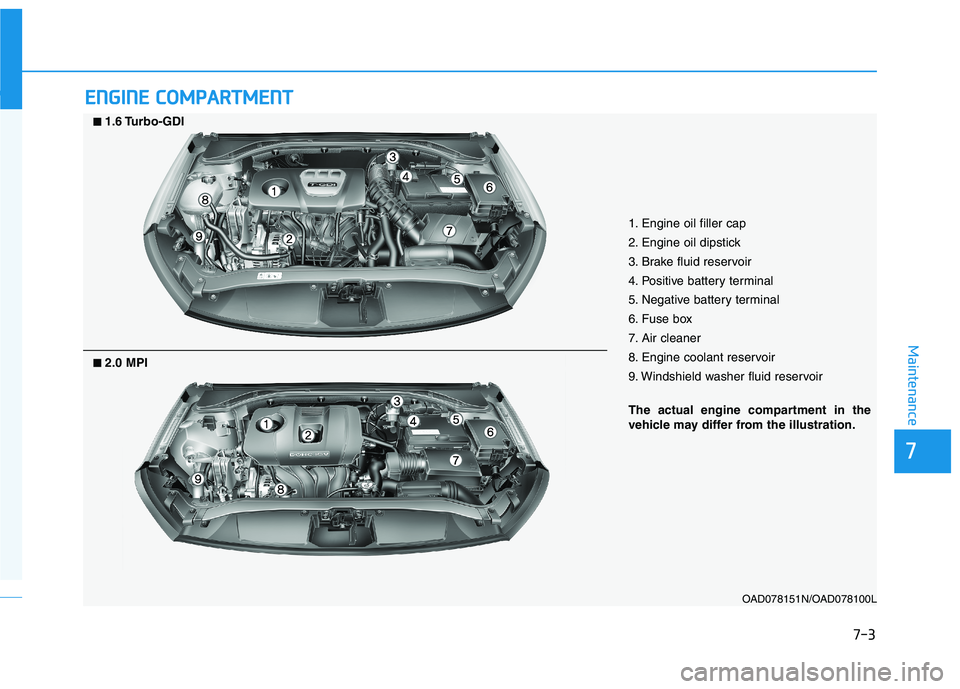 HYUNDAI ELANTRA SPORT 2019  Owners Manual 7-3
7
Maintenance
EENN GGIINN EE  CC OO MM PPAA RRTTMM EENN TT  
OAD078151N/OAD078100L
■■
2.0 MPI
■■1.6 Turbo-GDI
1. Engine oil filler cap 
2. Engine oil dipstick
3. Brake fluid reservoir
4. P