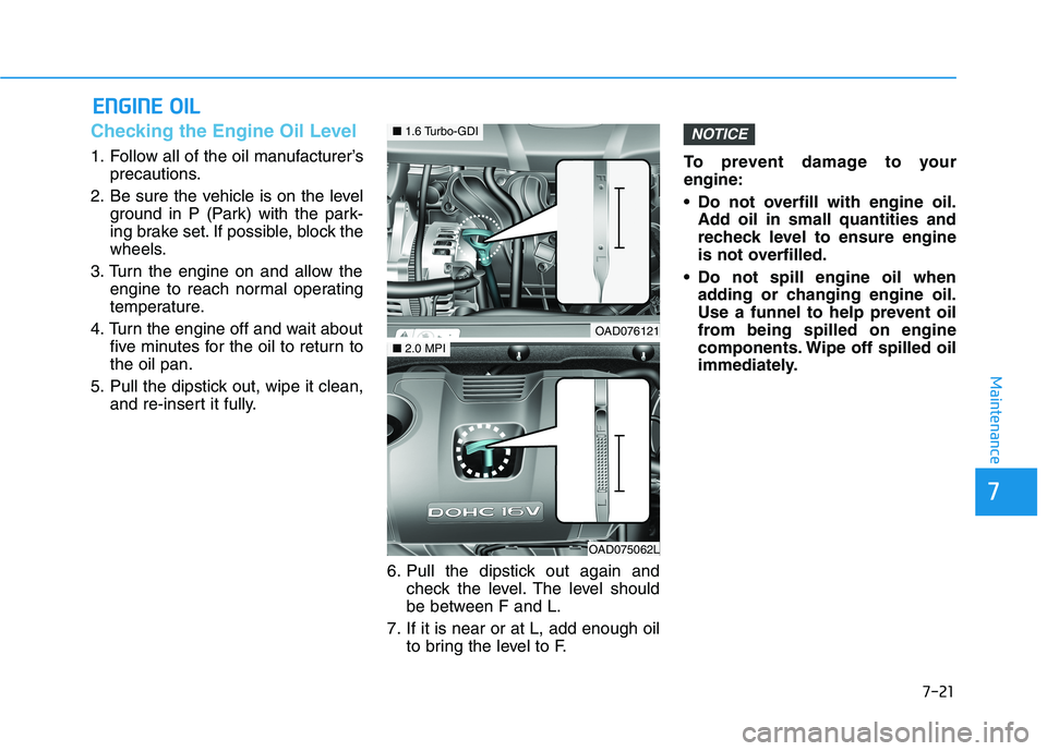 HYUNDAI ELANTRA SPORT 2019  Owners Manual 7-21
7
Maintenance
EENN GGIINN EE  OO IILL
Checking the Engine Oil Level 
1. Follow all of the oil manufacturer’s
precautions.
2. Be sure the vehicle is on the level ground in P (Park) with the park